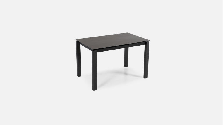 Table de repas haute BLEUET
